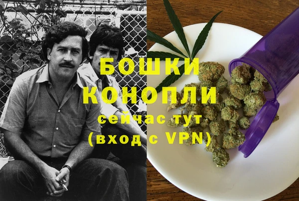 первитин Мегион