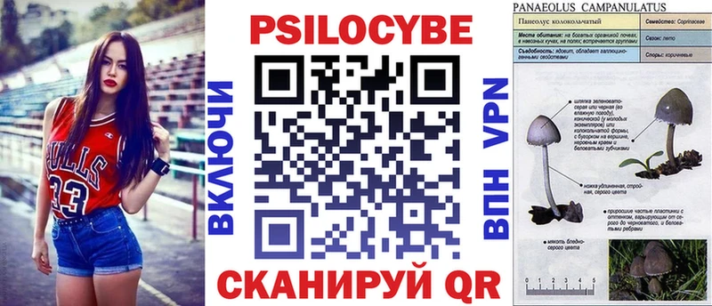 Галлюциногенные грибы Cubensis Купить закладки Асино