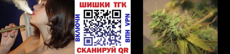 Бошки Шишки план  Купить  Асино 